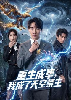 《重生成隼，我成了天空禁主》