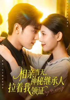 《相亲当天，神秘继承人拉着我领证》