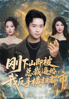《刚下山即被总裁逼婚，我反手横扫都市》
