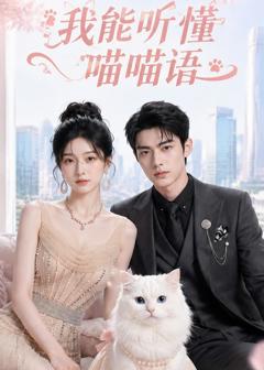我能听懂喵喵语