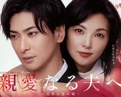 《致亲爱的丈夫~完美妻子的谎言~》