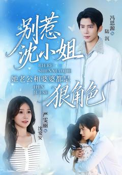 《别惹沈小姐她老公和婆婆都是狠角色》