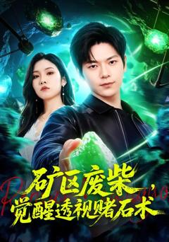《矿区废柴，觉醒透视赌石术》