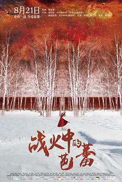 《战火中的芭蕾[电影解说]》
