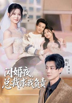 闪婚夜，总裁求我负责